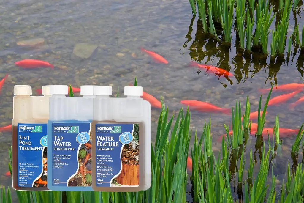 pond treatments