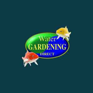 Water gardening uK