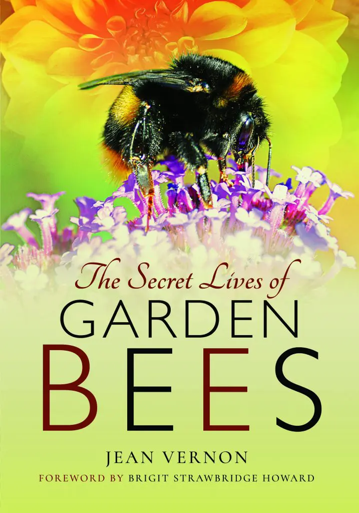 Bees Paperback