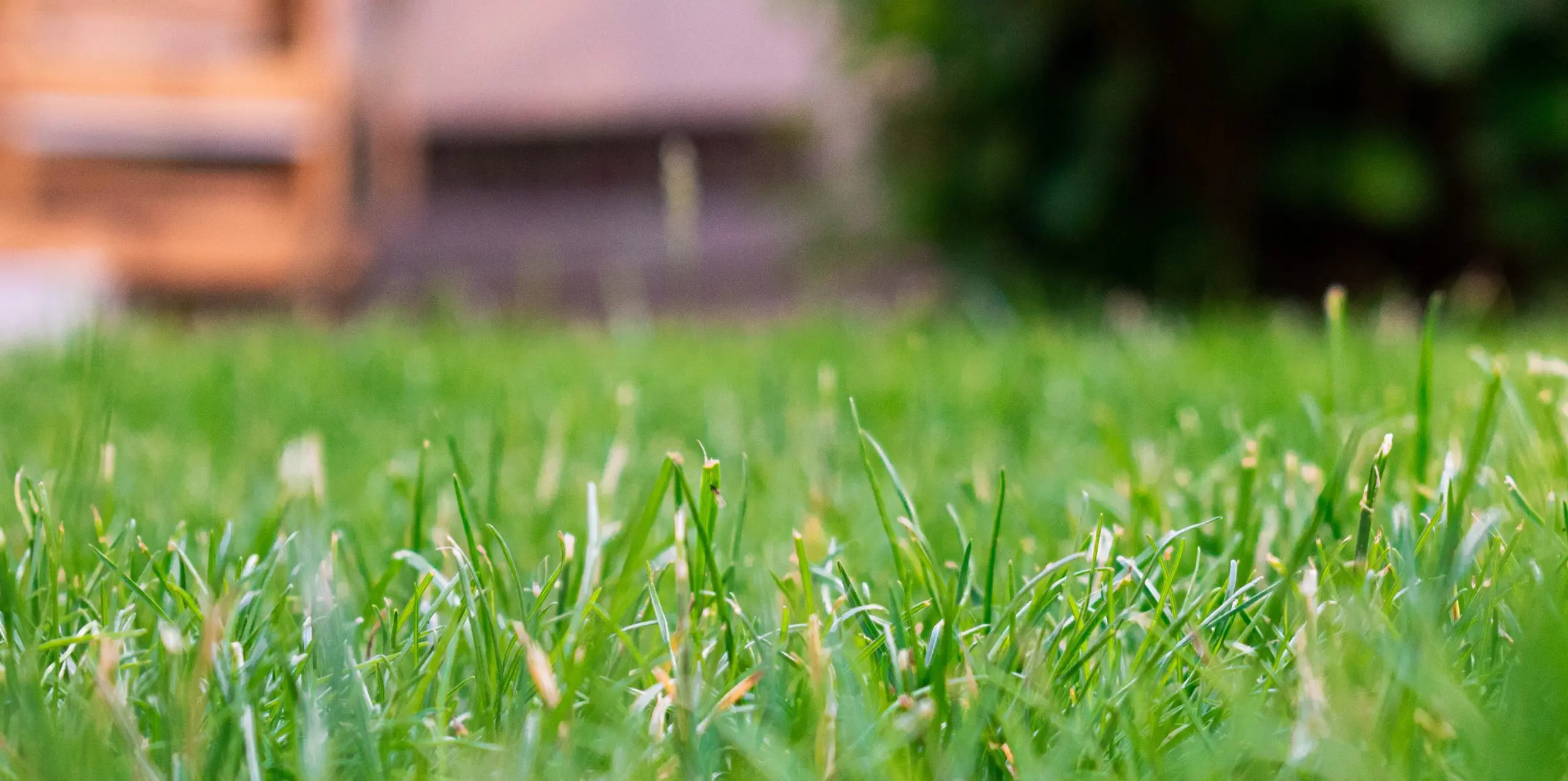 Green Grass Blog Header e1616760788199