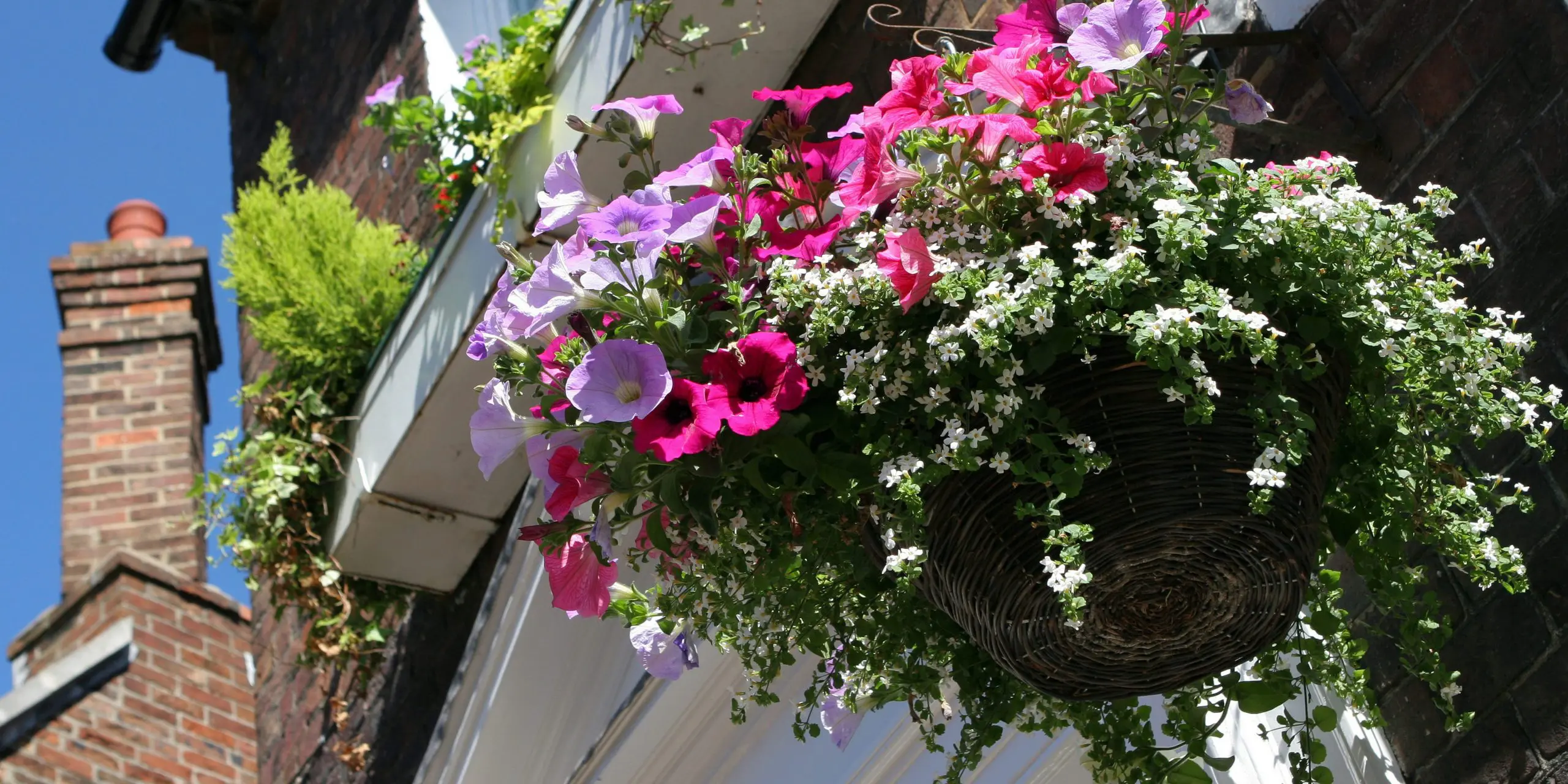 HangingBaskets 2 e1616761452714