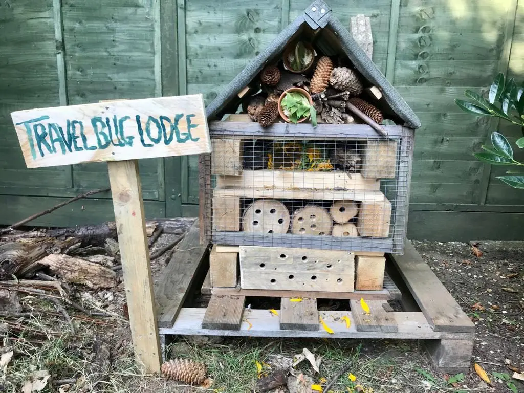 bug hotel close up