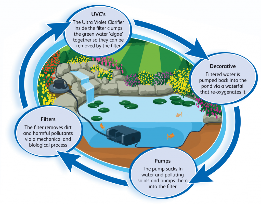 a pond system