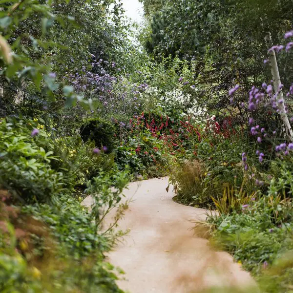 Woodland in Autumn