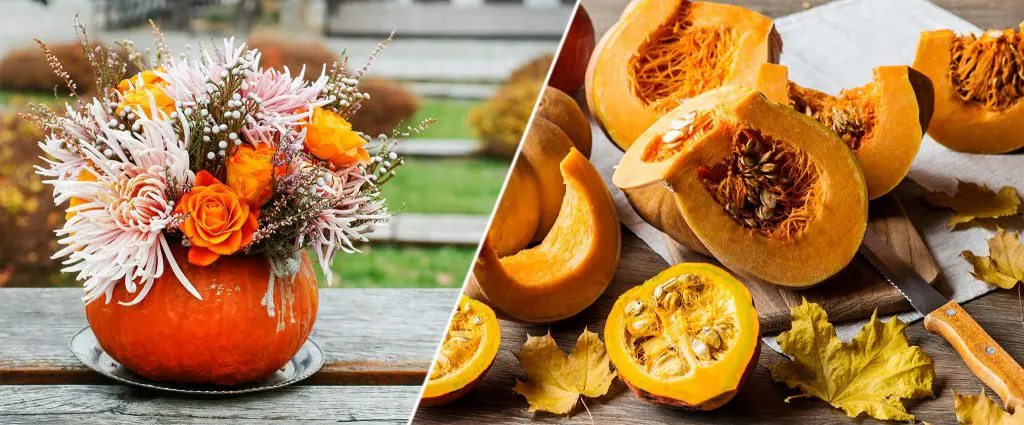 5 Clever Ways to Reuse Pumpkins After Halloween