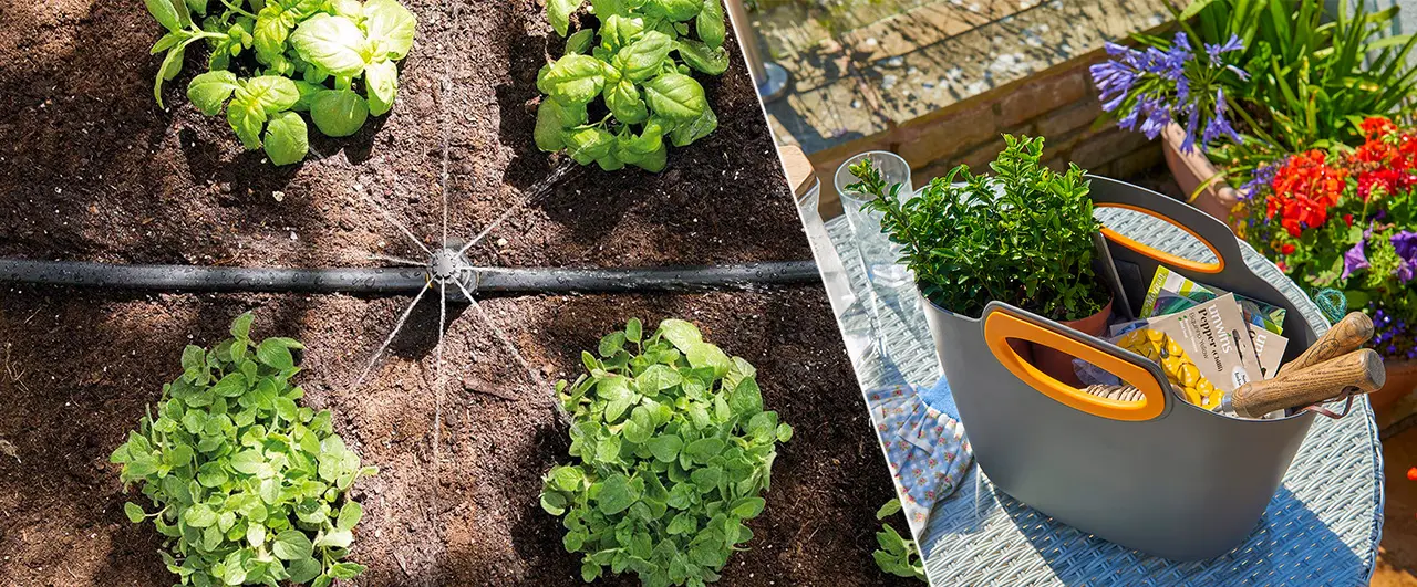 Urban Gardening Made Simple- 10 Tips for Beginners