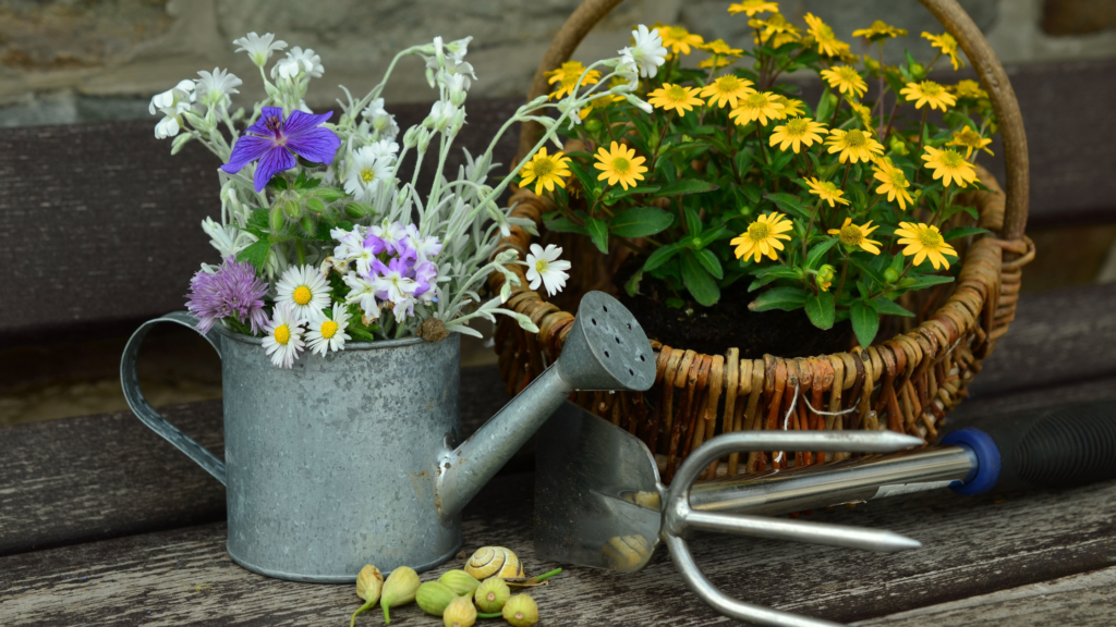 July's Gardening Tips