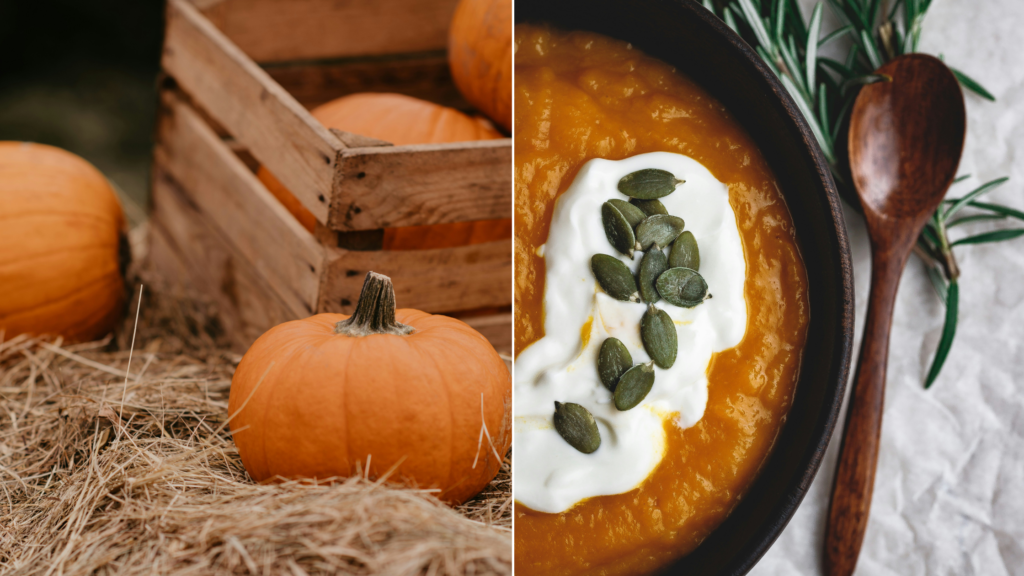 From Garden to Table: Creamy Pumpkin Soup Recipe