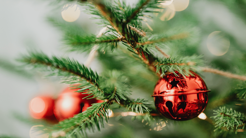 How to Care for a Real Christmas Tree: A Complete Guide