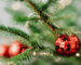 How to Care for a Real Christmas Tree: A Complete Guide