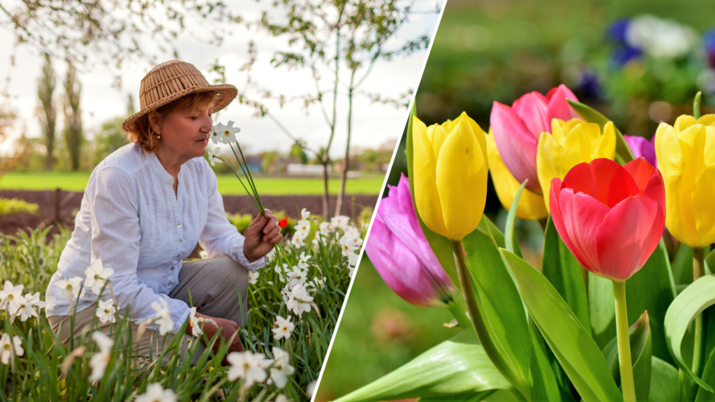 Planning Your Spring Garden