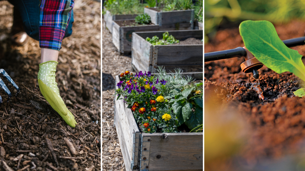 Creating a Beautiful Low-Maintenance Garden