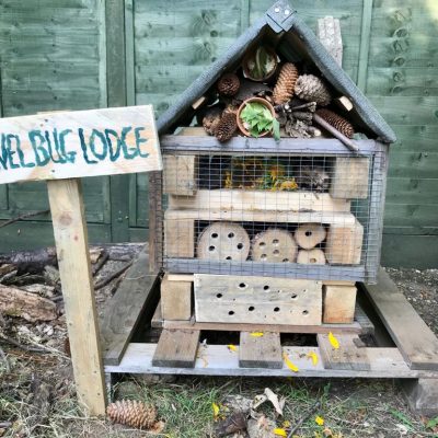 bug hotel close up