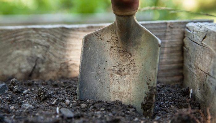 garden trowel in compost and soil