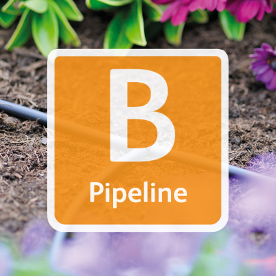 B Pipeline