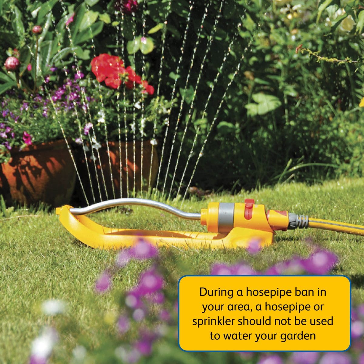 How Do I Water My Garden During A Hosepipe Ban? | Hozelock Ltd