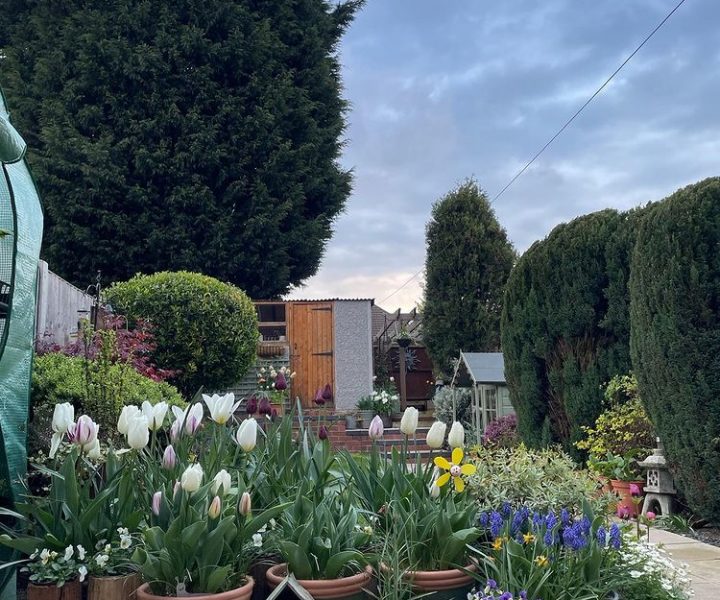 View From a Potting Bench 11