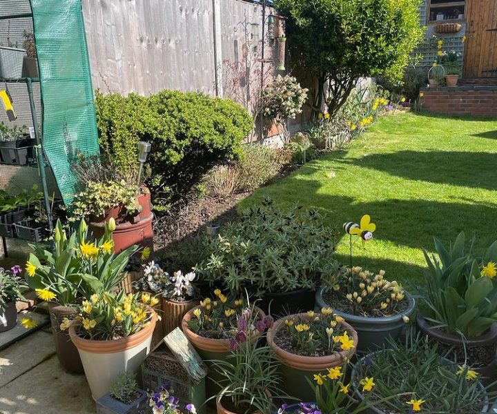 View From a Potting Bench 14