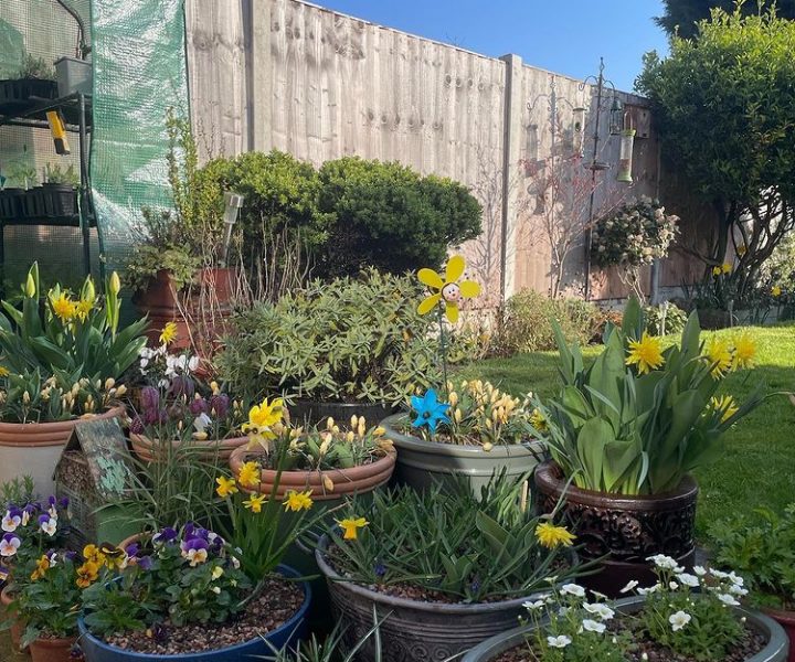 View From a Potting Bench 7