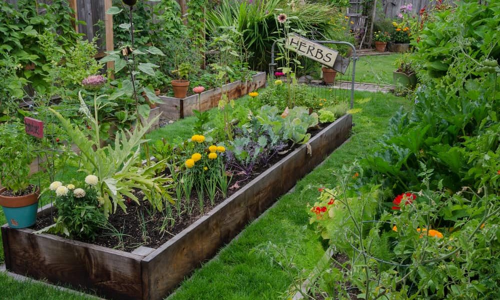 Raised Bed