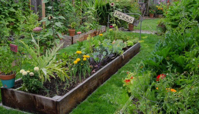 Raised Bed