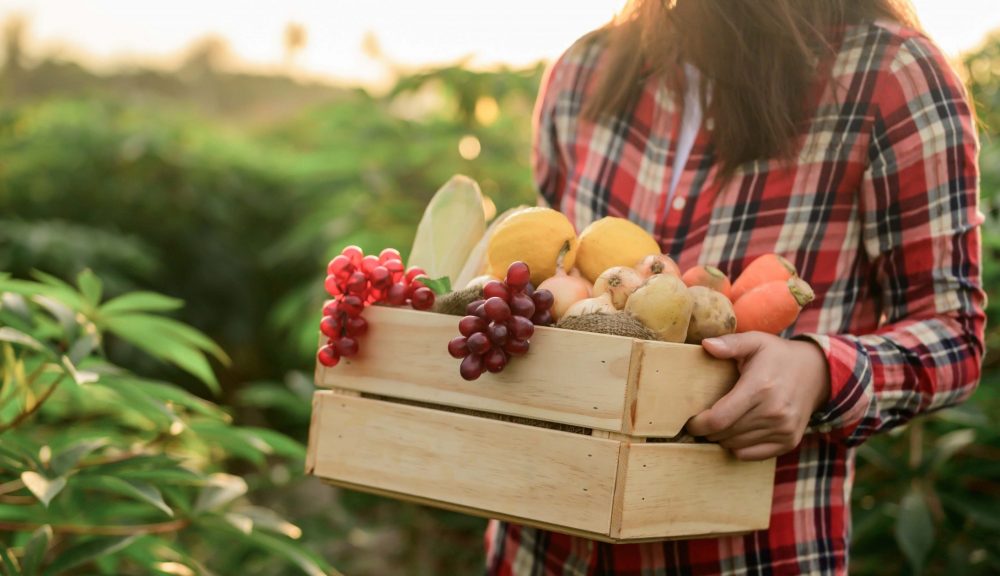 Fruit and Veg