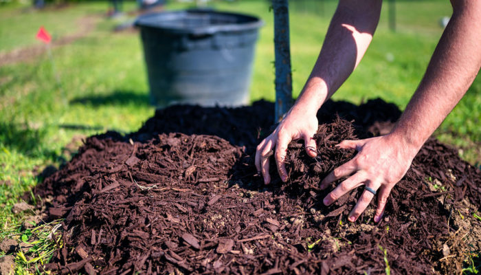 Mulching