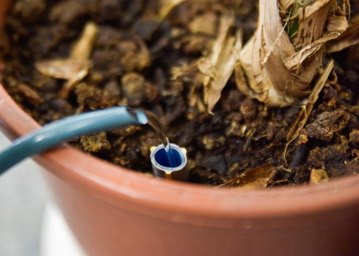 An in pot watering system 7