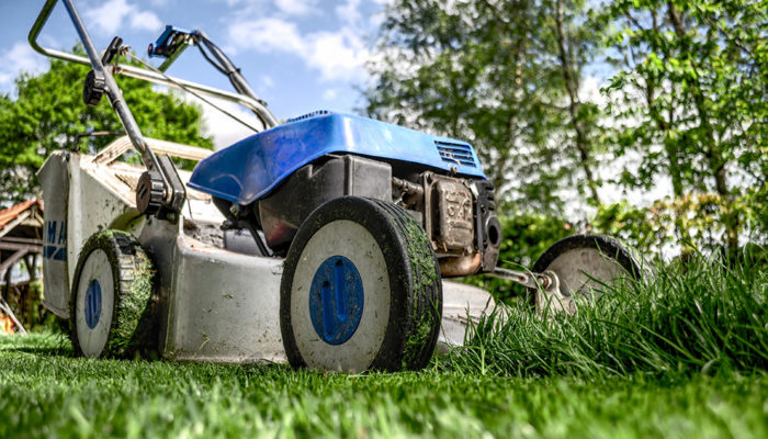 Lawn Mowing