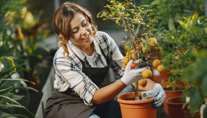 Protect your Fruit & Vegetables