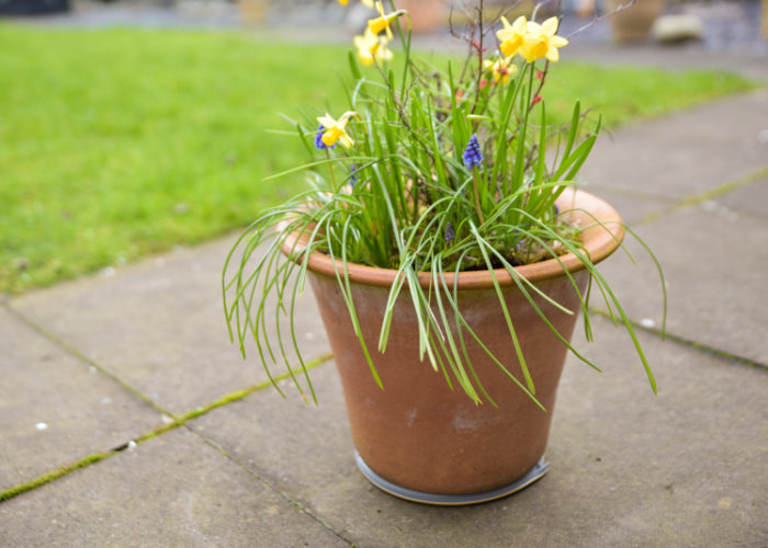 Raising a flower pot off the ground 6