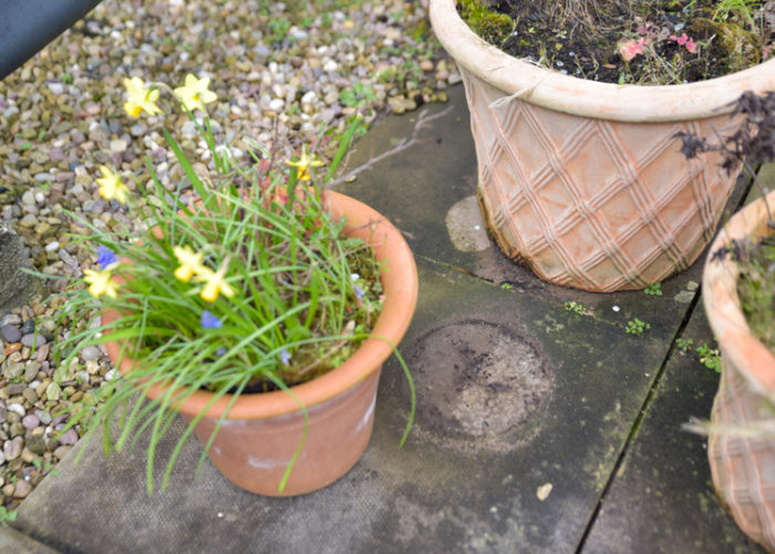 Raising a flower pot off the ground