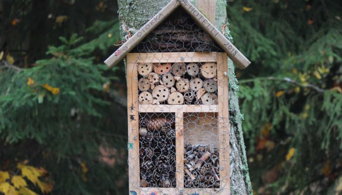 Build a bug hotel