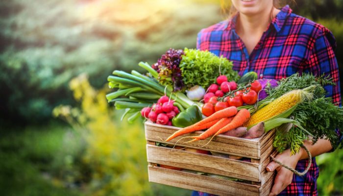 Choose Your Vegetables Wisely