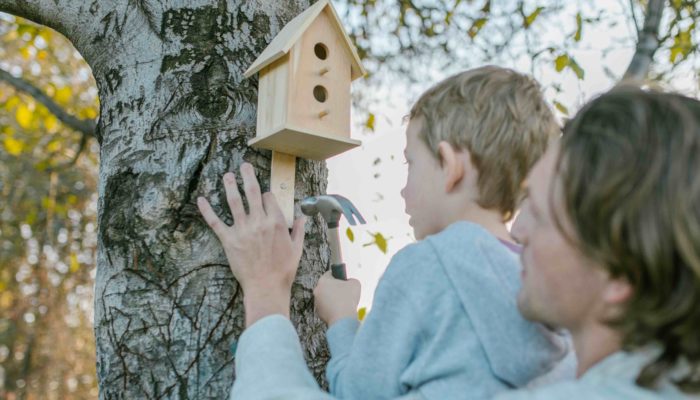 Birdhouse scaled