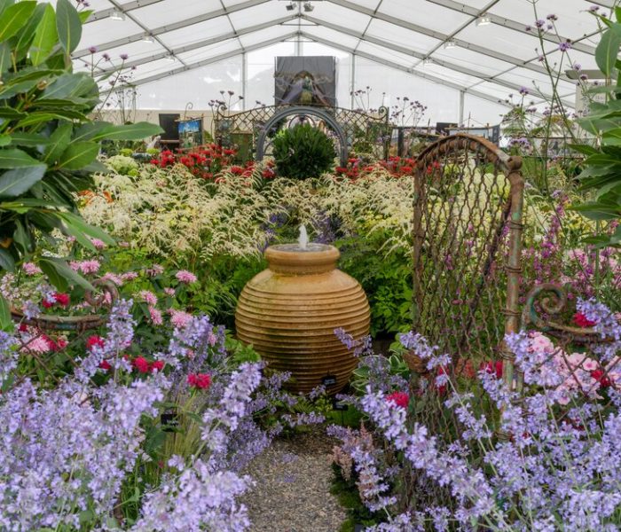 RHS Flower Show July 2023