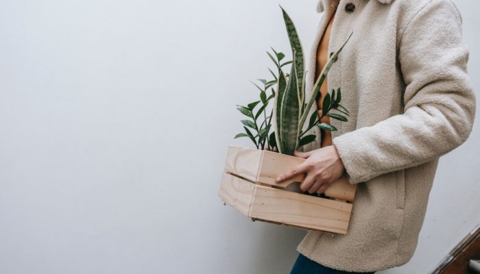 Unpacking Plants