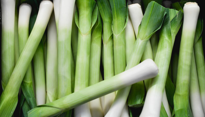 Leek