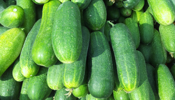 Cucumbers