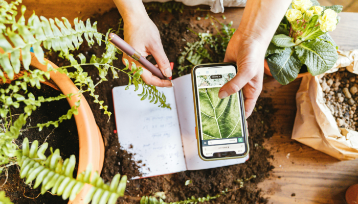 Gardening Tech