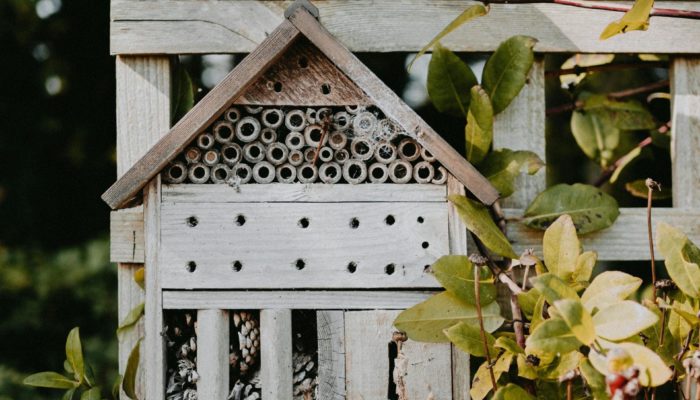 Small Habitats