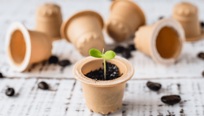 Coffee Capsule