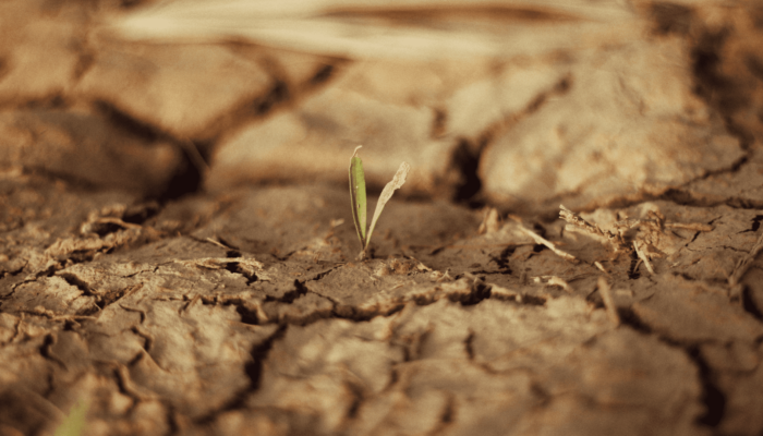 Soil Erosion