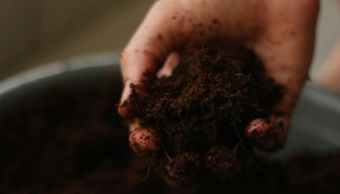 Soil Health