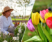 Planning Your Spring Garden