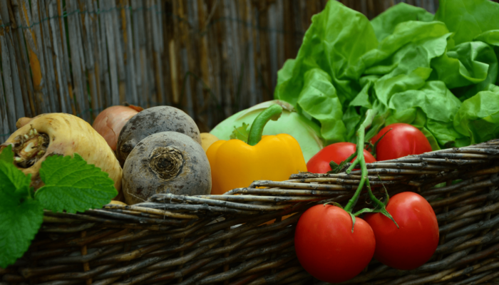 Vegetables to Sow Indoors