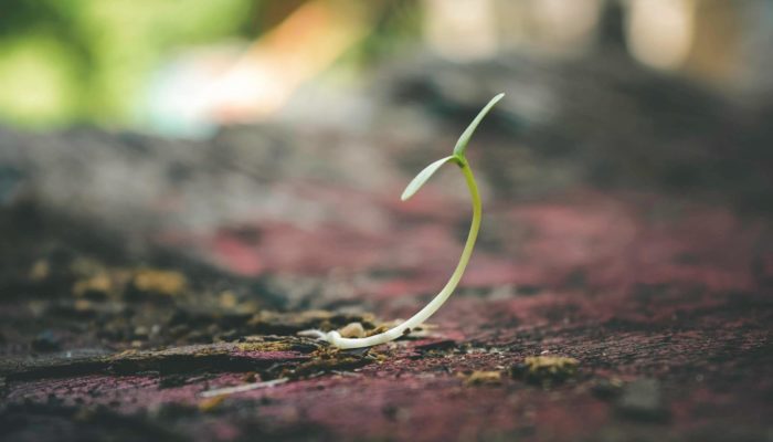 Weed Redistribution