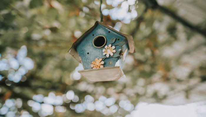 Wildlife Gardening