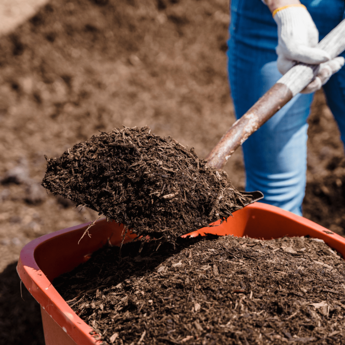 Compost Mulch