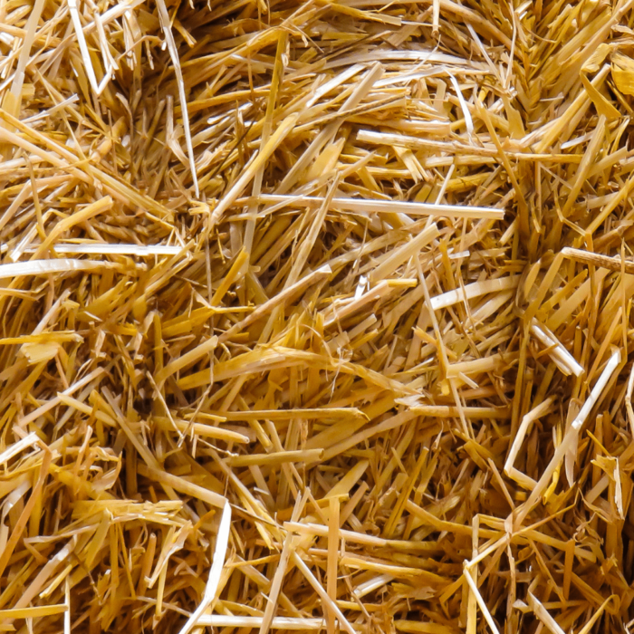 Straw Mulch